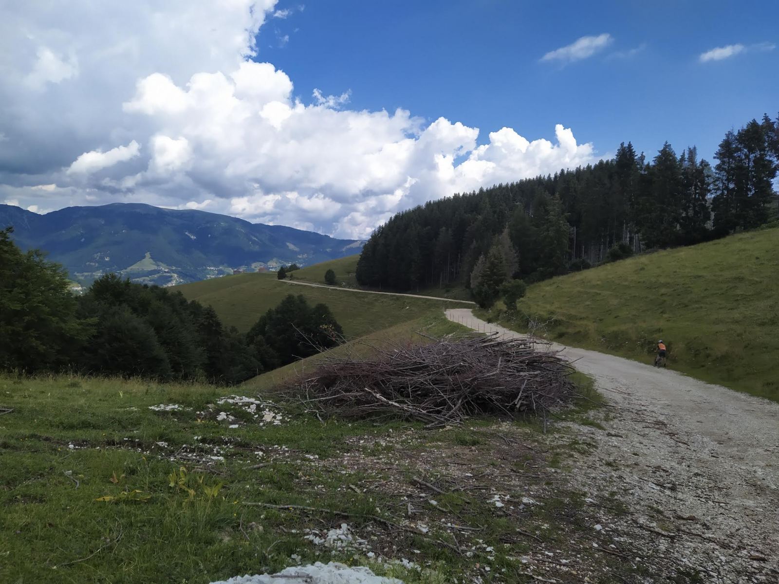 Col dei Remi sull'Altopiano di Asiago